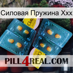 Силовая Пружина Ххх cialis5